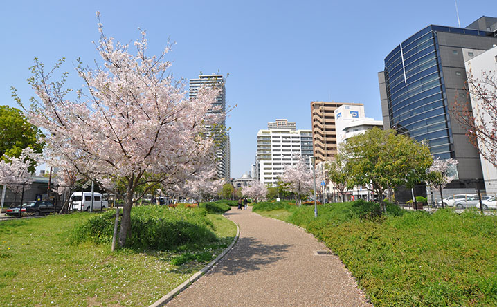 難波塩草敷津公園