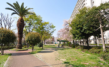 高岸公園