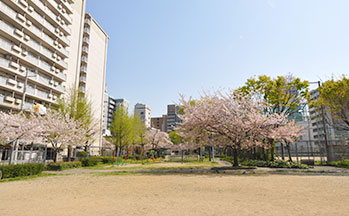 高岸公園
