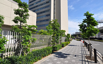 街並み10(パークス通り)