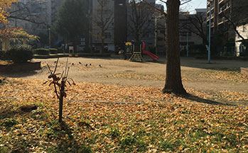 鴎町公園2