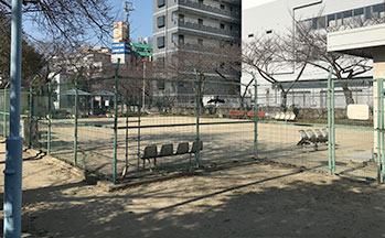 公園内の様子2