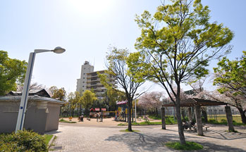 公園内の様子3
