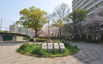 公園内の様子1