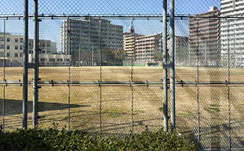 野球グラウンド