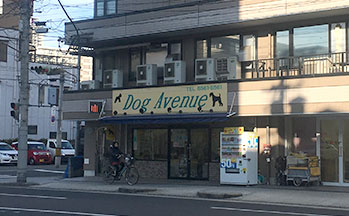 DogAvenue(ペットショップ、トリミング、ホテル)