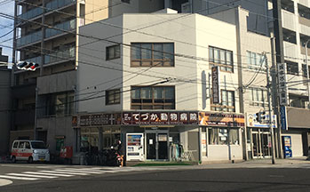 てづか動物病院