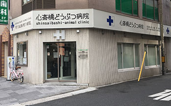 心斎橋動物病院